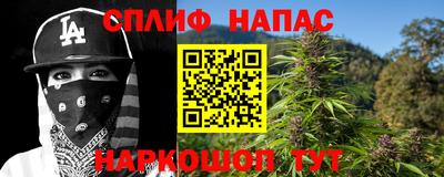 гашик Нарткала