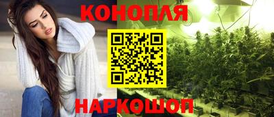 гашик Нарткала